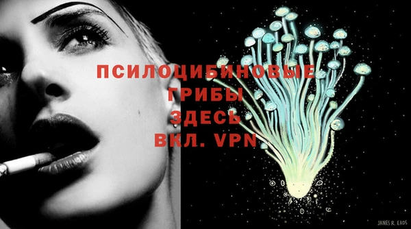 Альфа ПВП Дмитров