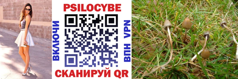 Купить  Игарка  Галлюциногенные грибы Magic Shrooms 