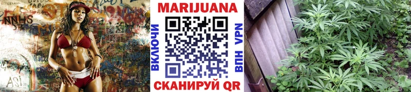 Купить где Игарка Бошки марихуана White Widow